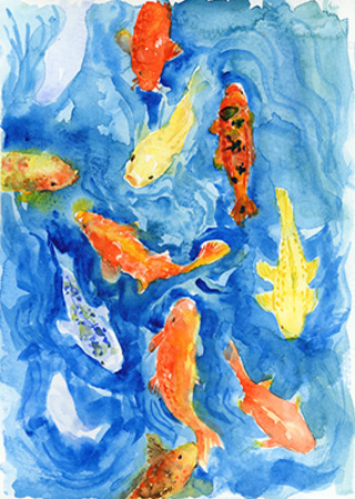 Koi fish in the blue water